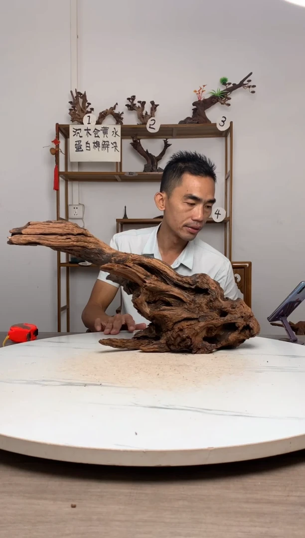 O****口鱼缸造景沉木摆件