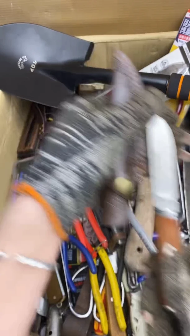 蓝**潮五金园艺农具厨具工具闪购