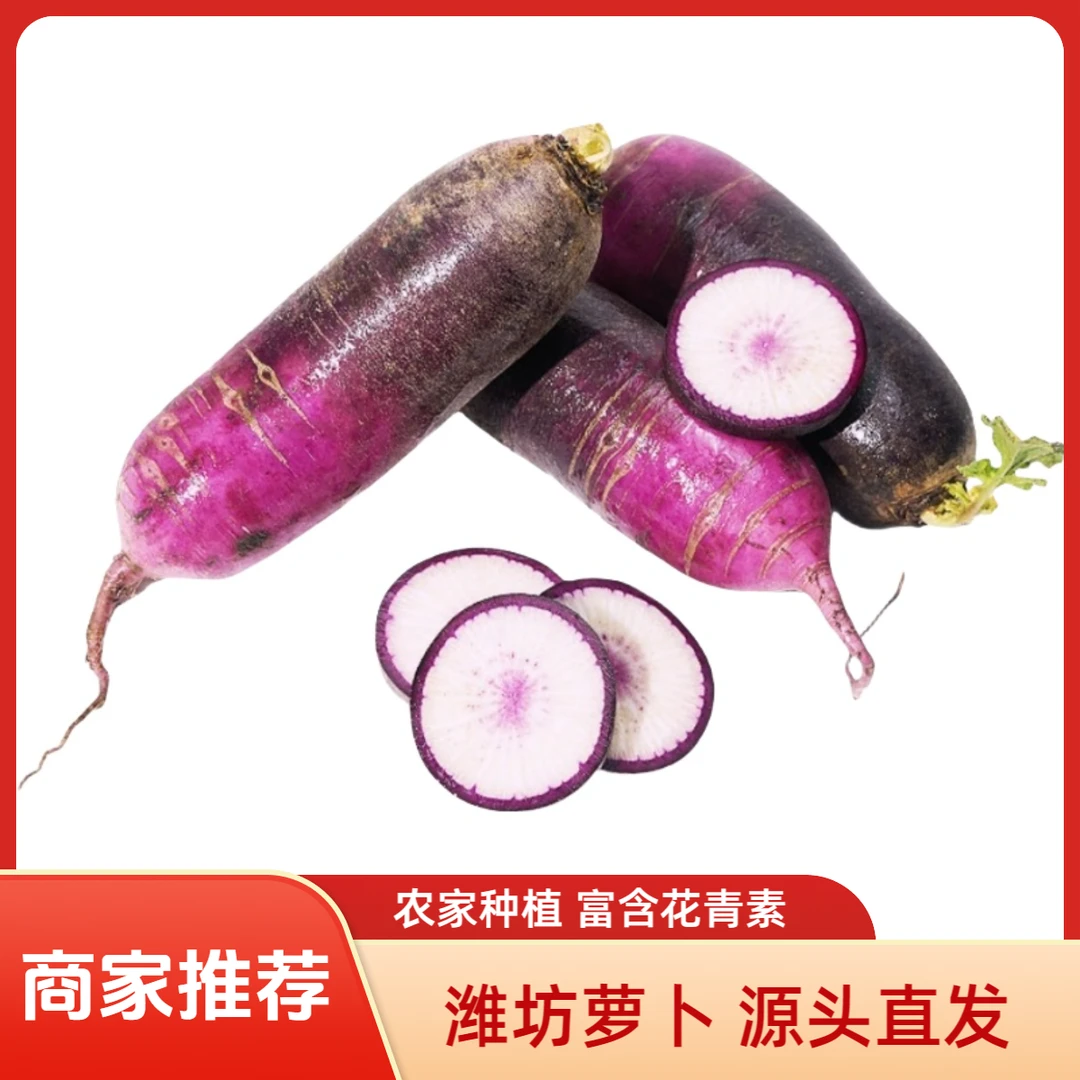 山东冰激凌水果萝卜净重4.5斤