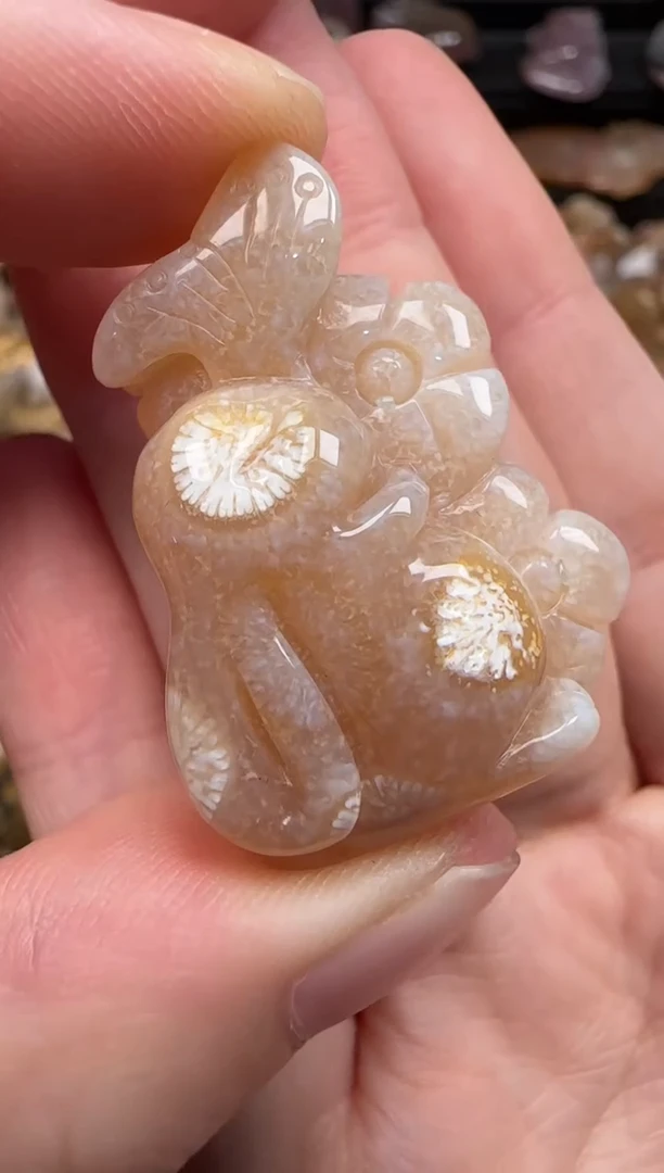 硅化珊瑚（珊瑚玉）未镶嵌颈饰551