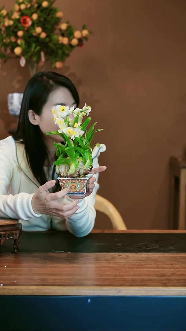 【闪购商品】盆景雕刻水仙