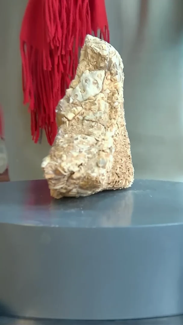 【闪购商品】泗水砭石疗养院原石88