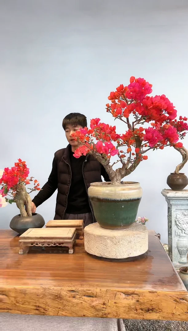 【闪购商品】aa908