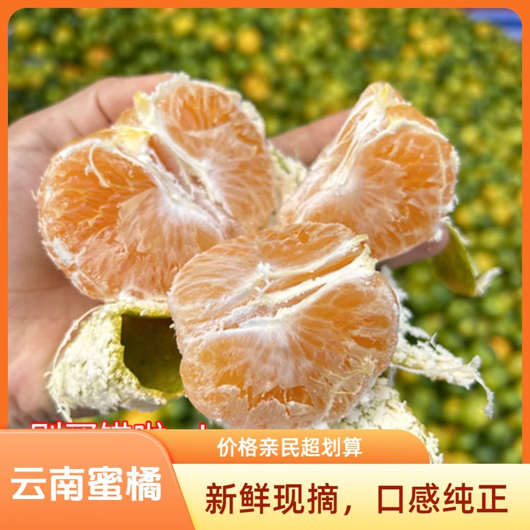 云南特早熟酸蜜橘青皮橘子华宁柑橘蜜桔当季新鲜孕妇橘子新鲜水果