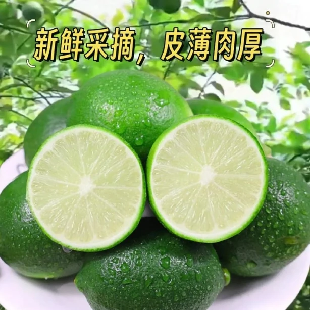 广东香水柠檬手打柠檬茶柠檬鸡爪柠檬鸡柠檬鲜果产地直发皮薄多汁