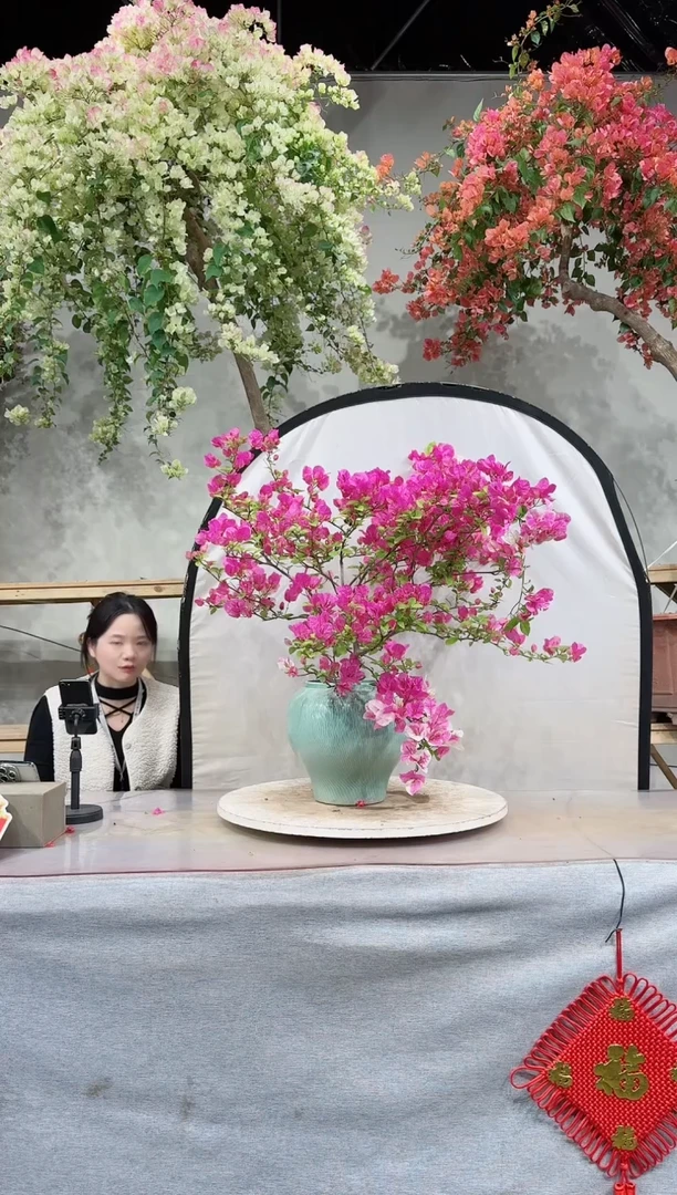【闪购商品】盆景漳红缨
