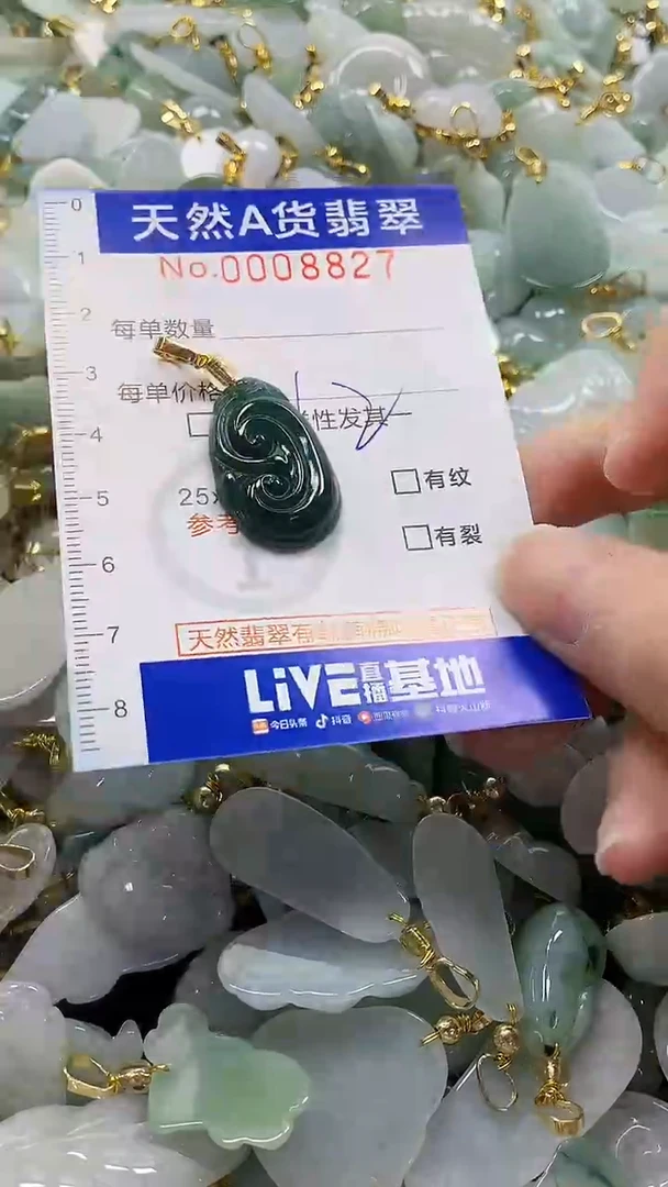 颈饰未镶嵌翡翠纯天然a货翡翠