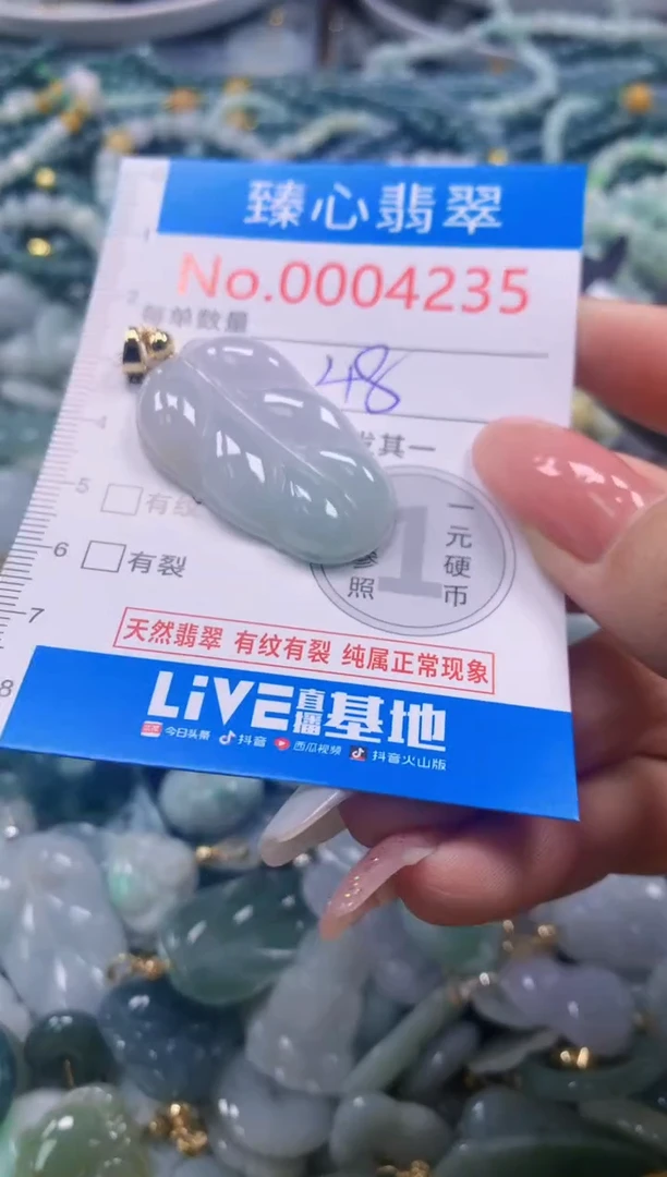 翡翠未镶嵌颈饰4235