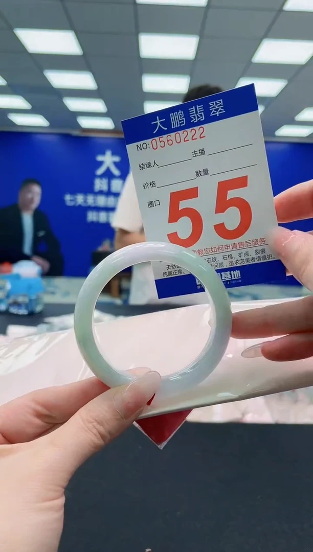 未镶嵌手镯翡翠AAAAAAAAA