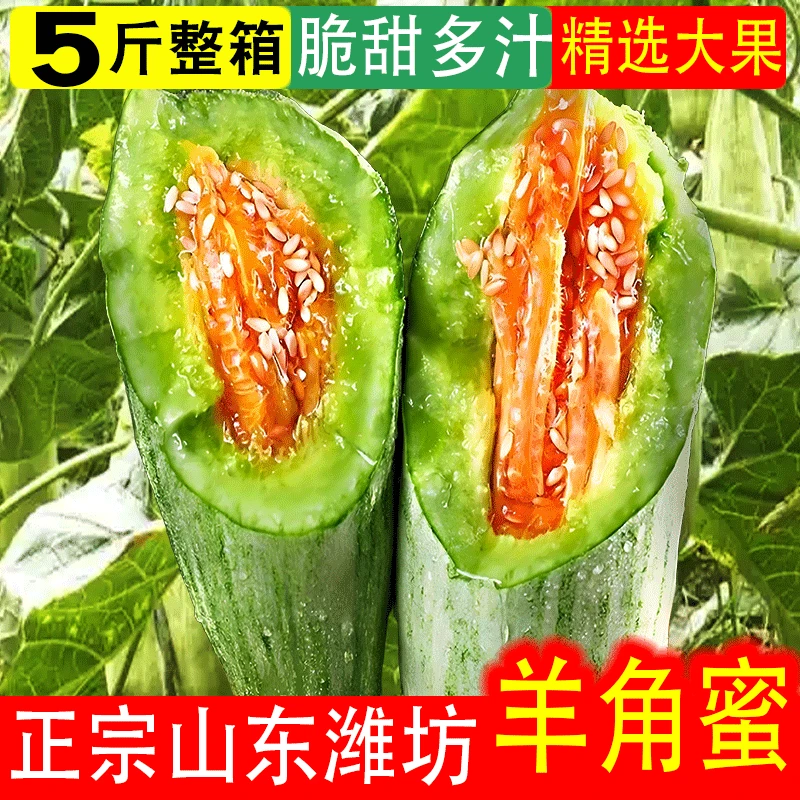 【5斤/精选大果】正宗山东潍坊羊角蜜甜瓜现摘现发新鲜整箱