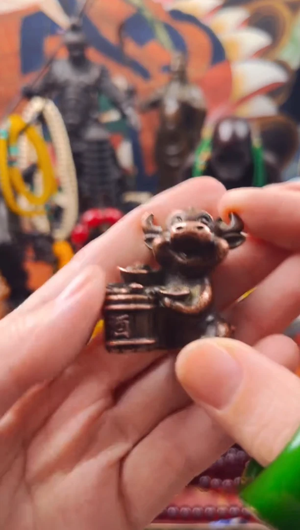 【闪购商品】飞姐专属精品推荐261