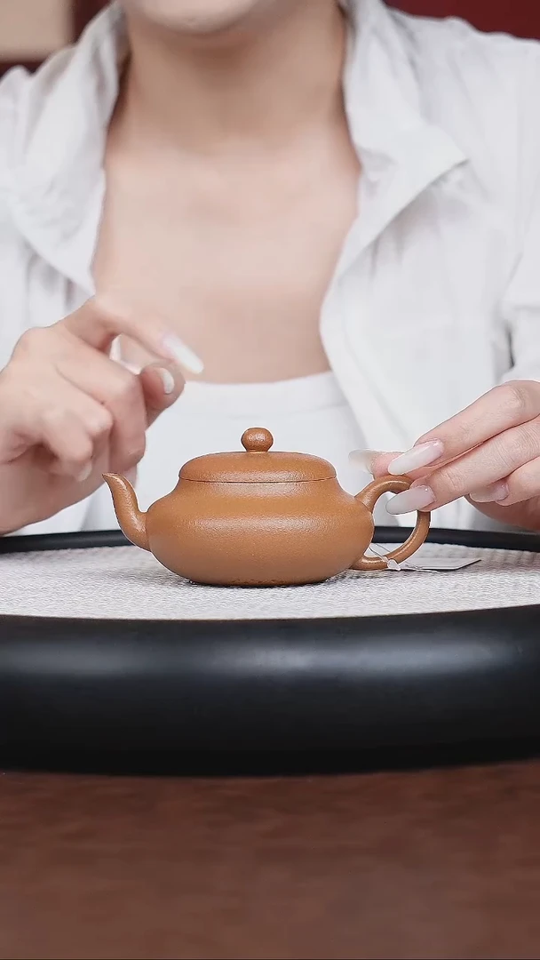 茶壶紫砂宜兴紫砂茶壶茶杯茶宠
