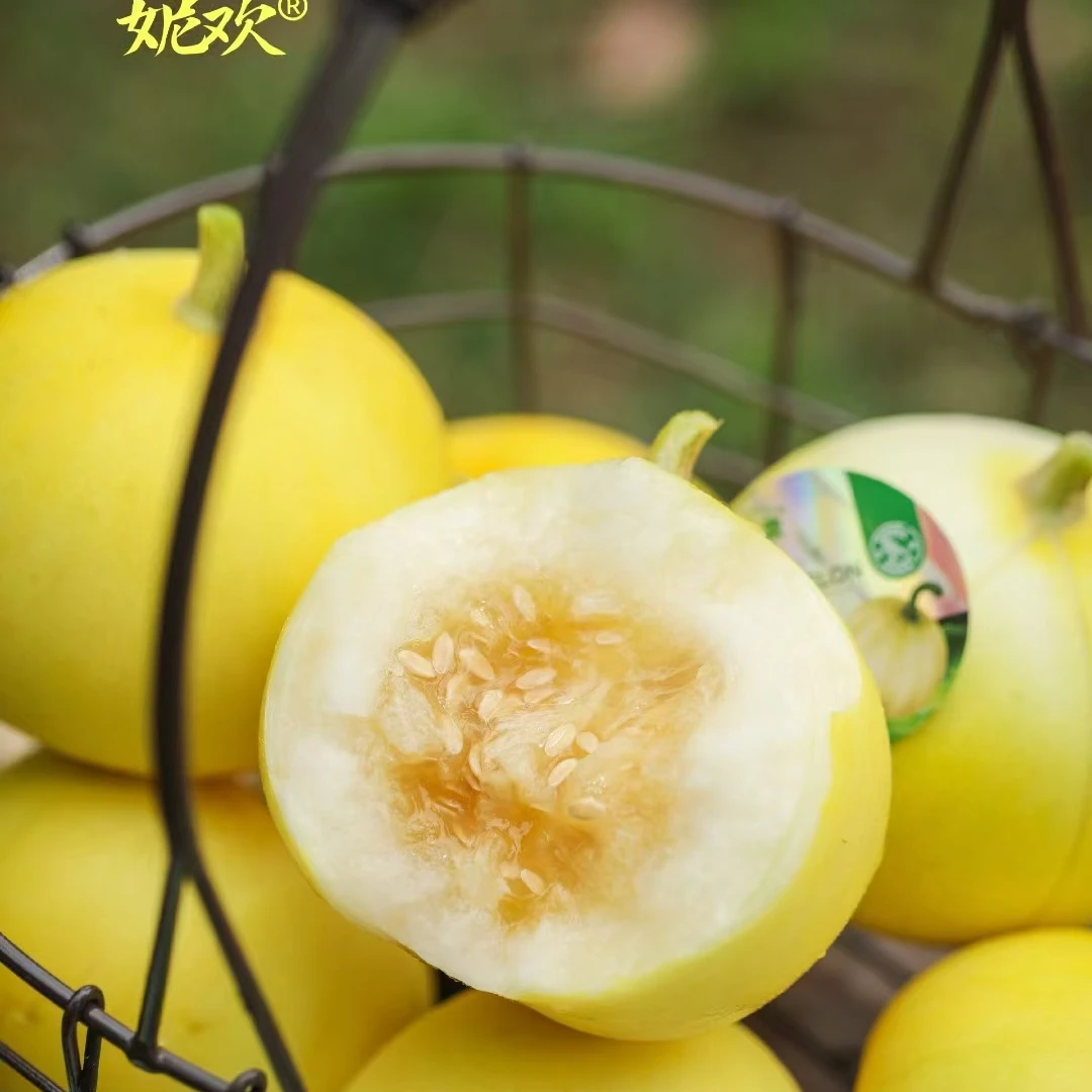 【BUNANA严选】海南蜂糖蜜小甜瓜一口爆汁满嘴甜蜜5-7个四斤装