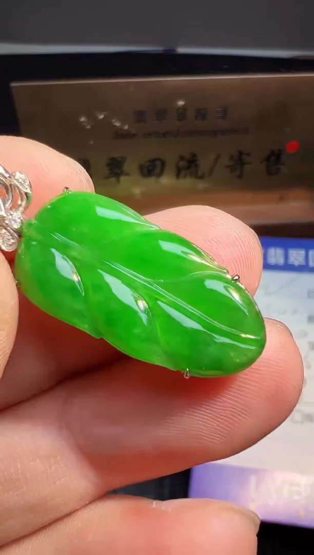 【闪购商品】翡翠颈饰18K金镶嵌翡翠回流