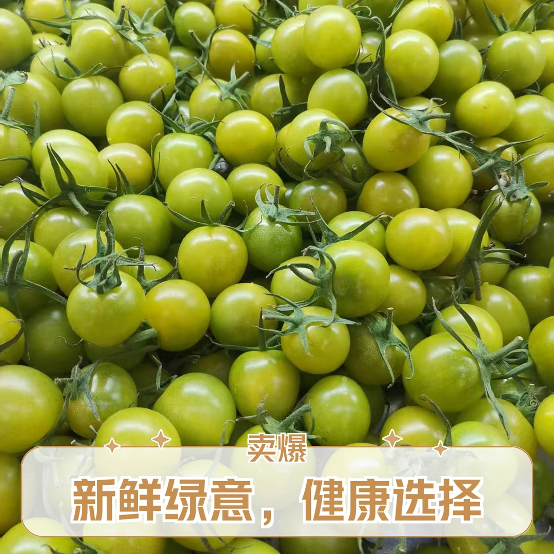 绿色小糖豆小柿子500g
