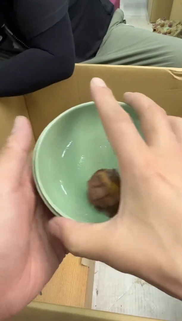 瓷片小穆杂货铺的物品291