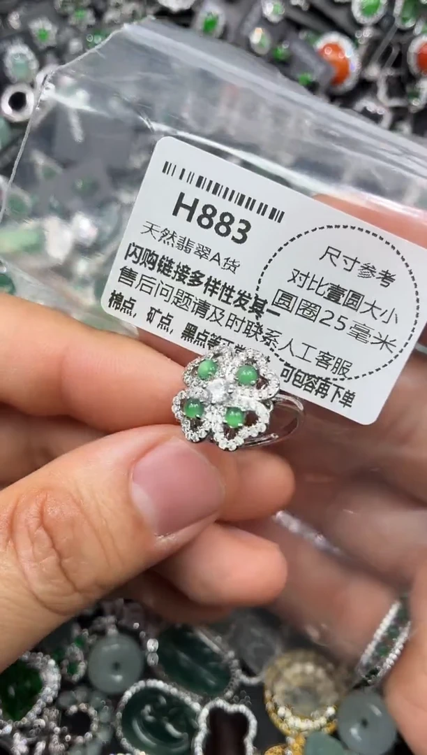 颈饰未镶嵌翡翠H883戒指