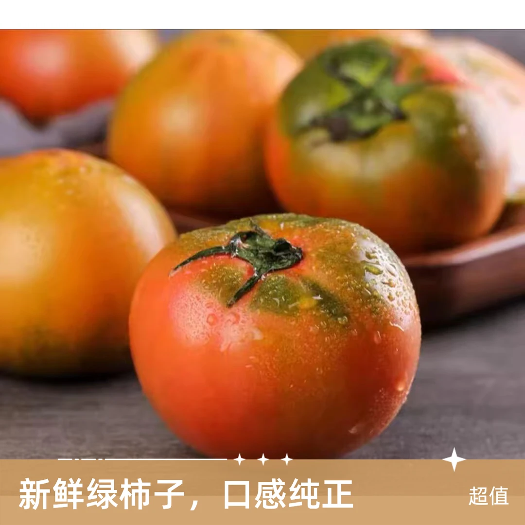 东北碱地铁皮柿子【精品大果】闫哥新鲜番茄自然熟生吃产地现摘