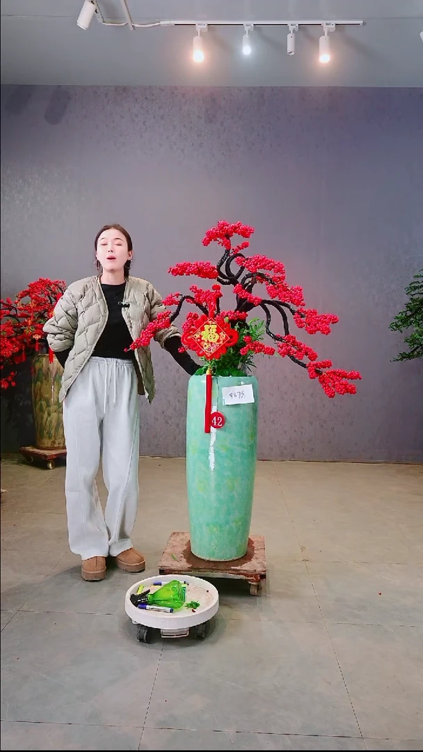 完全开放王*北美冬青