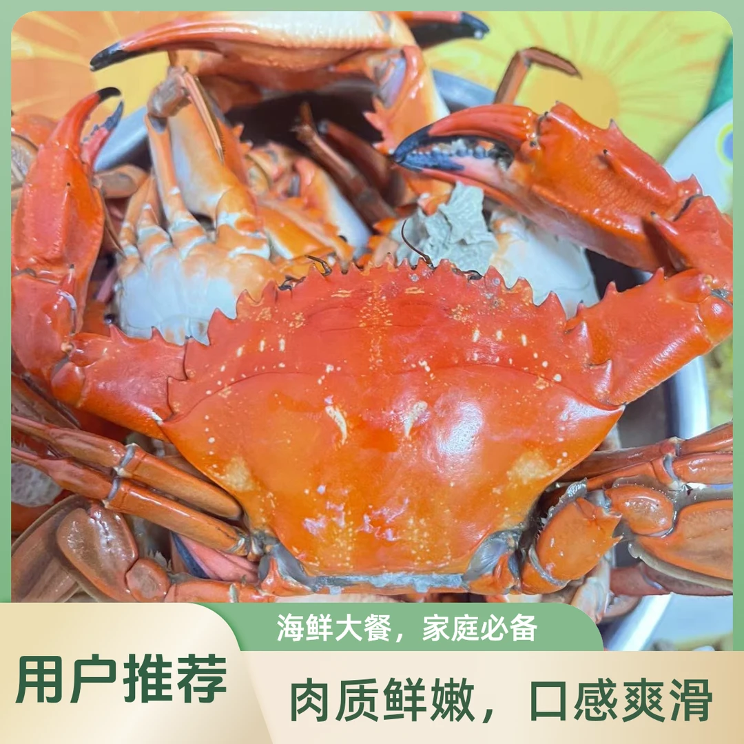 【3斤】渤海湾赤甲红蟹冷链发货有断腿【保鲜不保活】海鲜