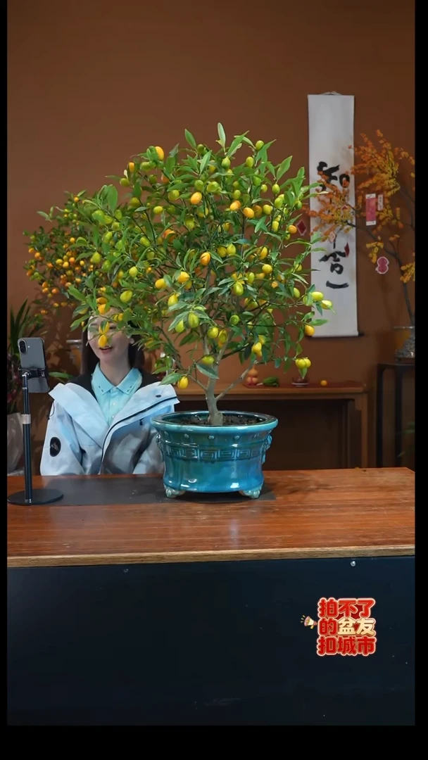 全部花朵脆皮金枣