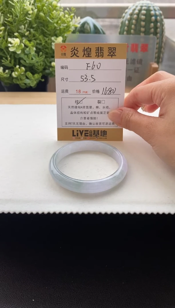 未镶嵌手镯翡翠圈口53.3编码f60
