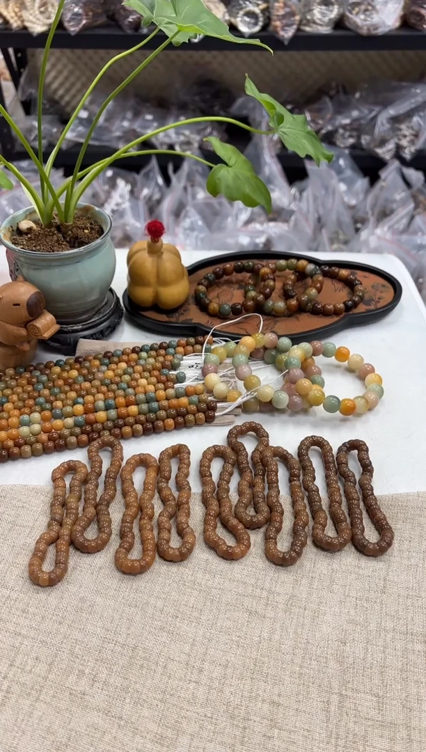 菩提根/象牙果手串8.5老料小肠（908）