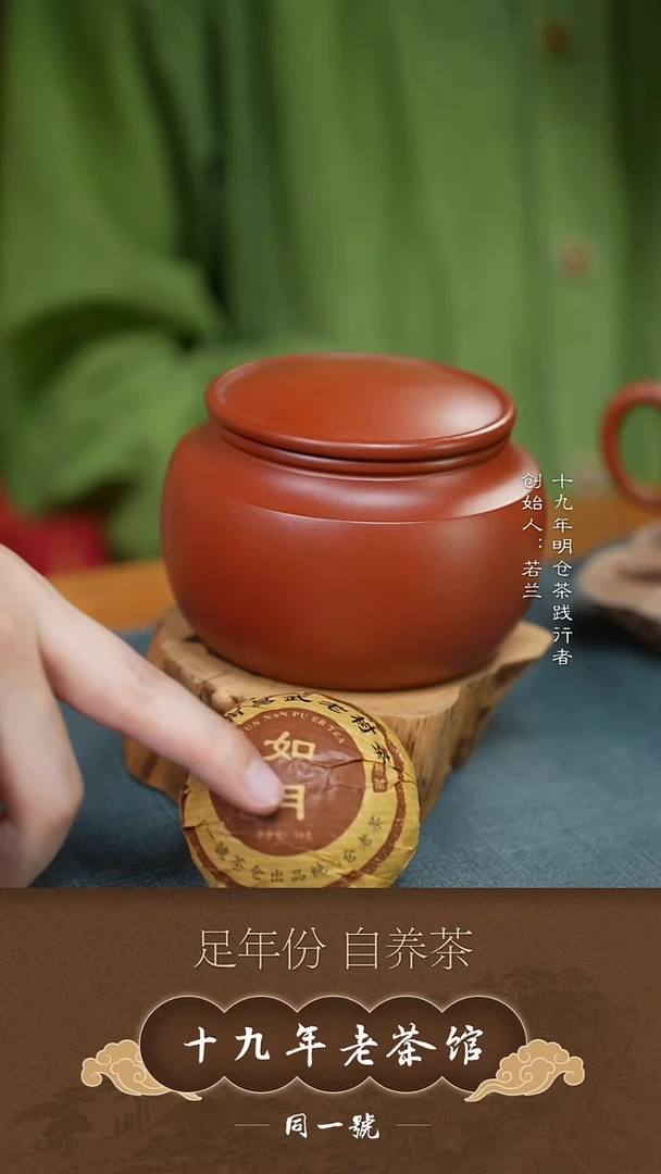 紫砂茶叶罐宜兴原矿紫砂醒茶罐+5沱如月