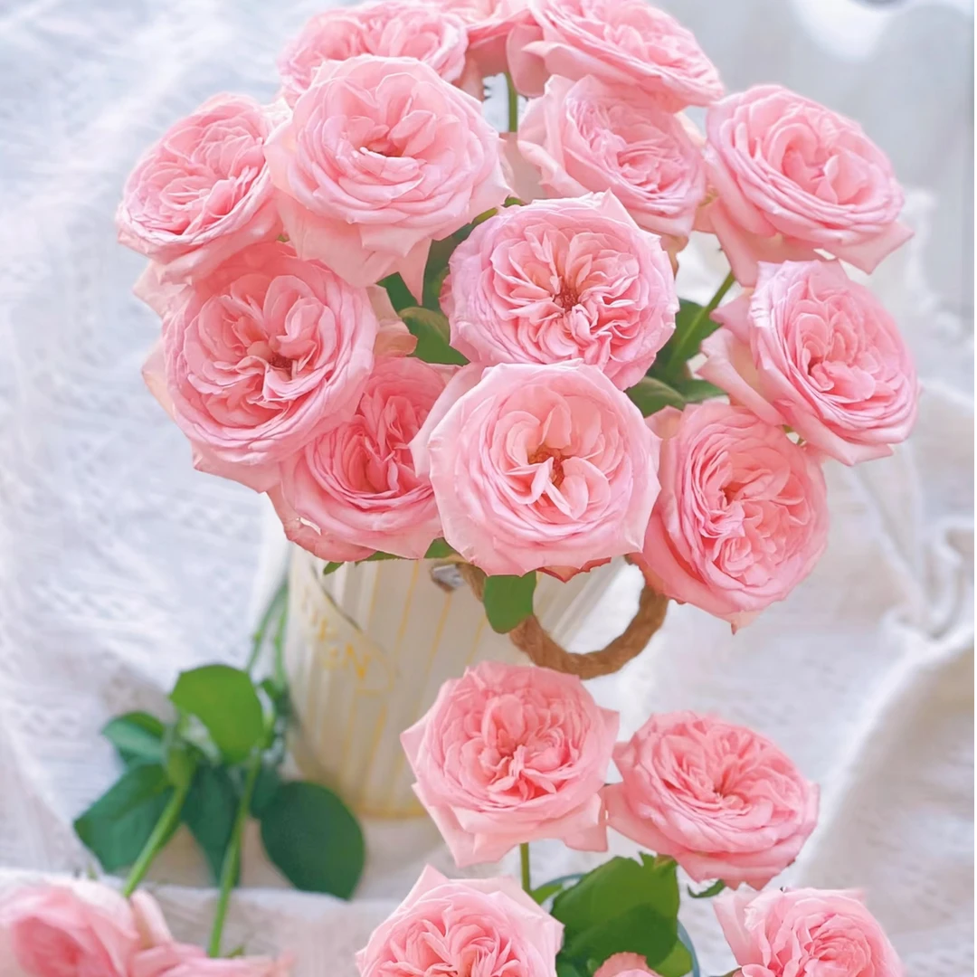 【禾韵山东】粉荔枝10枝自有基地智慧温室鲜切花家用鲜