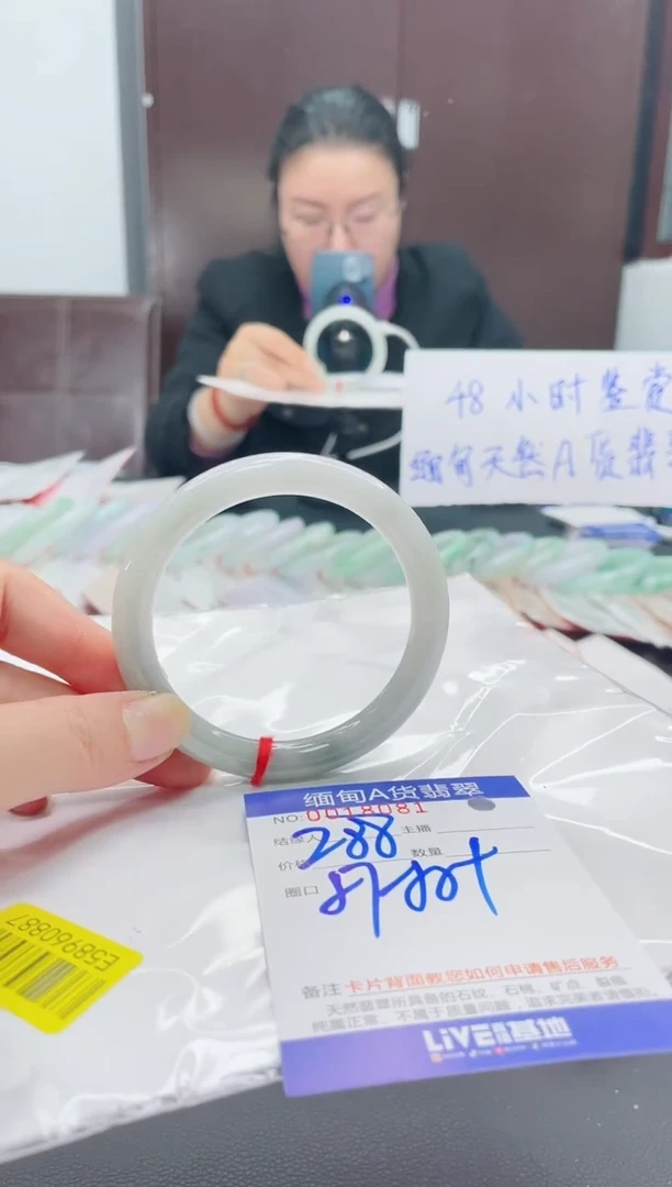 未镶嵌手镯翡翠我2