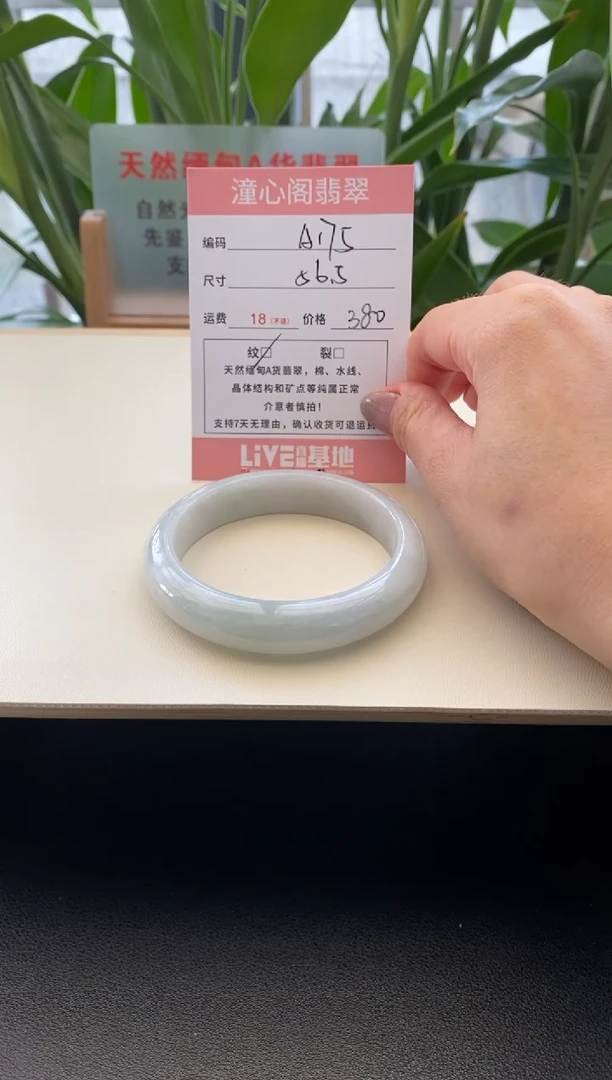 未镶嵌手镯翡翠56.4圈口A175