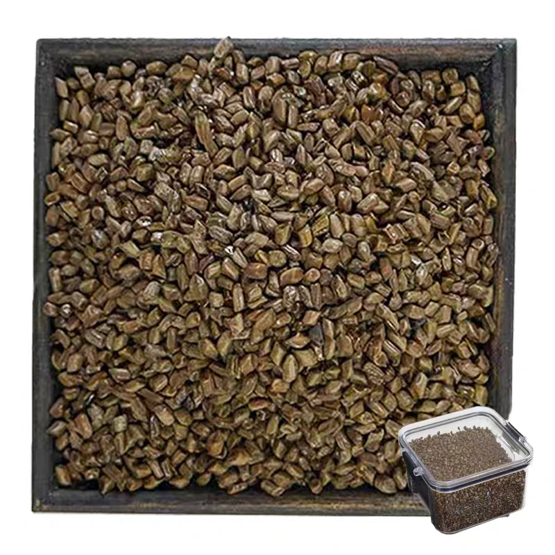 三兄弟助农山货决明子可泡茶做枕芯可搭枸杞