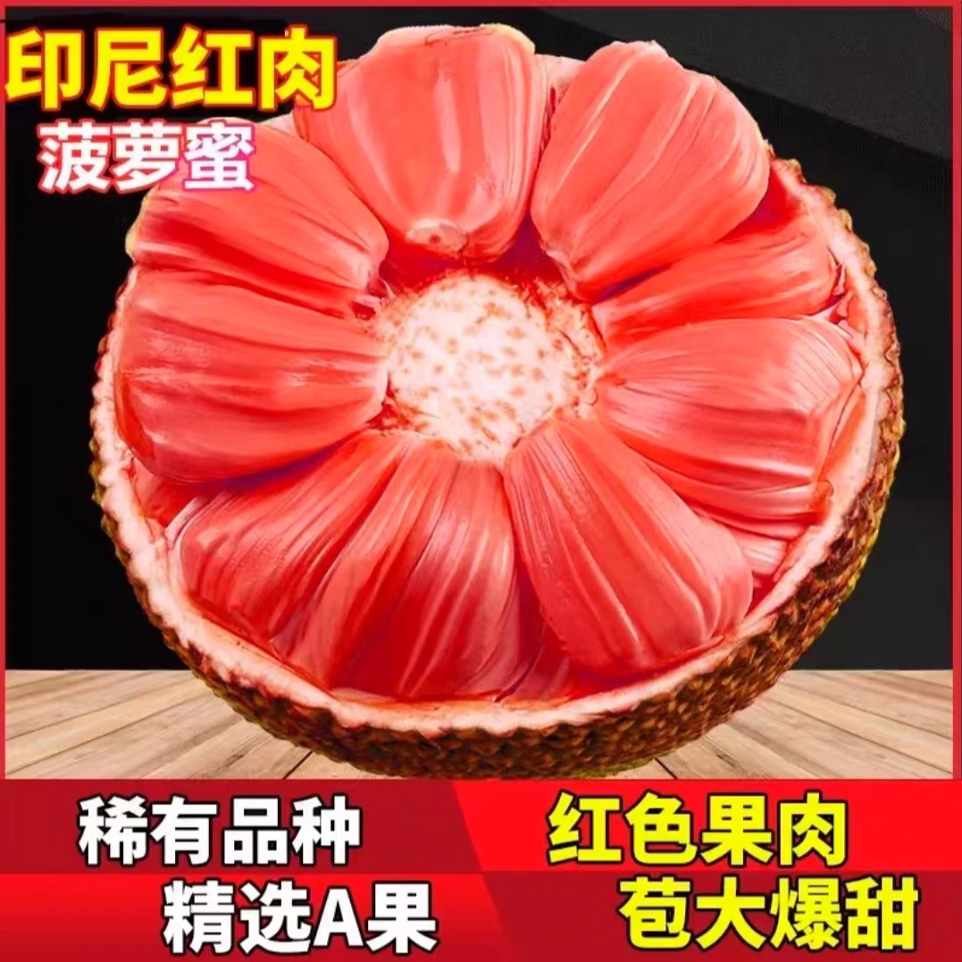 印尼红一物一拍