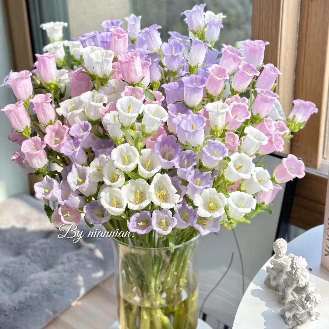 （爆花机器）风铃花云南鲜花基地直发