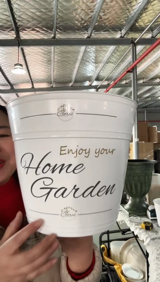 【闪购商品】塑料10寸罗斯玛丽白色印花4套装带托