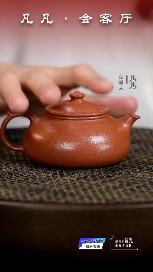 茶壶紫砂凡凡会客厅&老潘 紫砂壶42 寒江