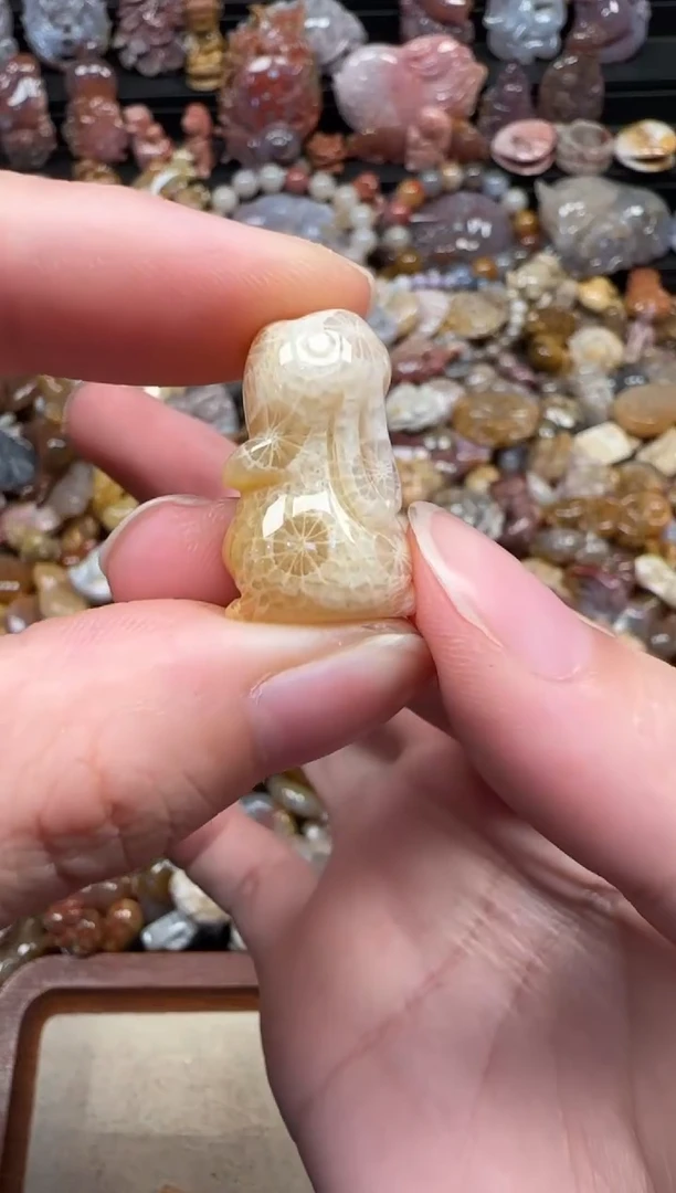 颈饰未镶嵌硅化珊瑚（珊瑚玉）565