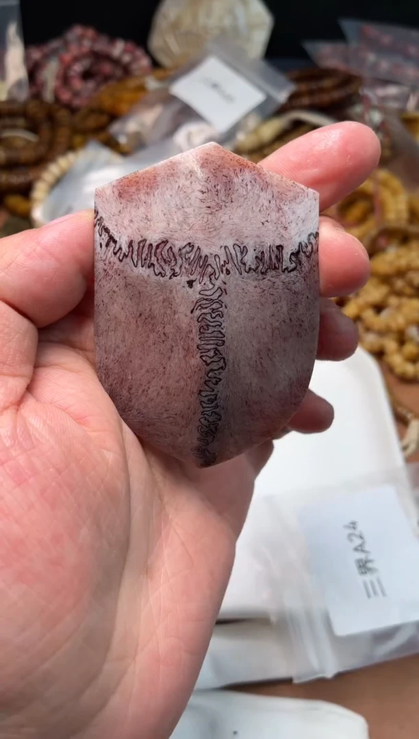 鹿骨其他母鹿三界A24