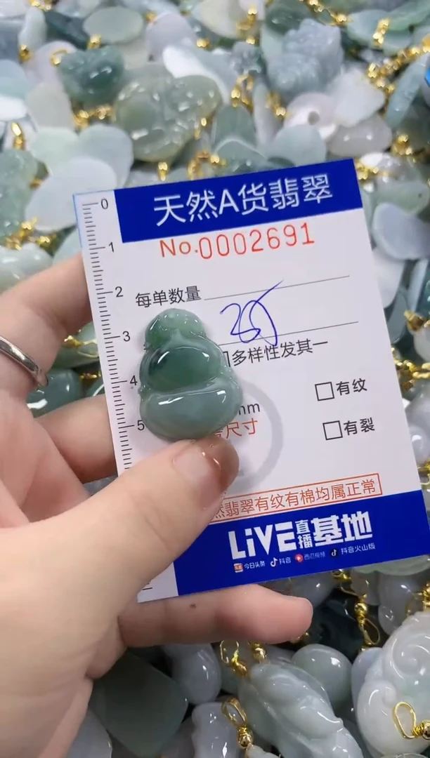 颈饰未镶嵌翡翠天然A货翡翠