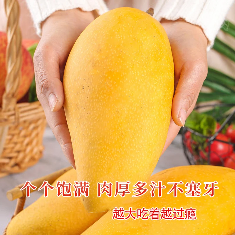 【正宗海南金煌芒】当季新鲜水果香甜多汁皮薄肉厚现货非凯特芒果