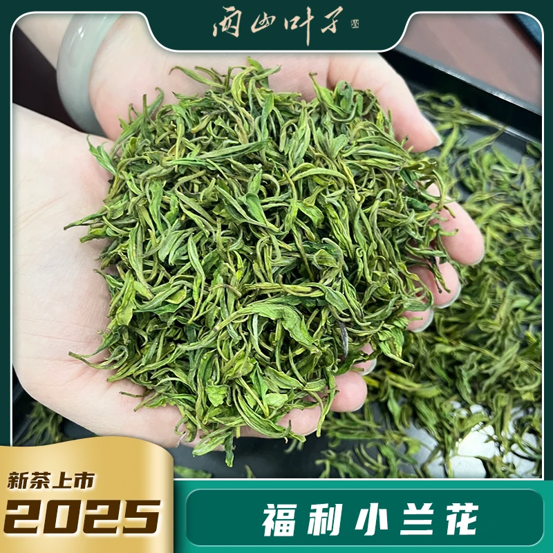 两山叶子【福利小兰花】安吉白茶福利活动宠粉送人经典兰花香