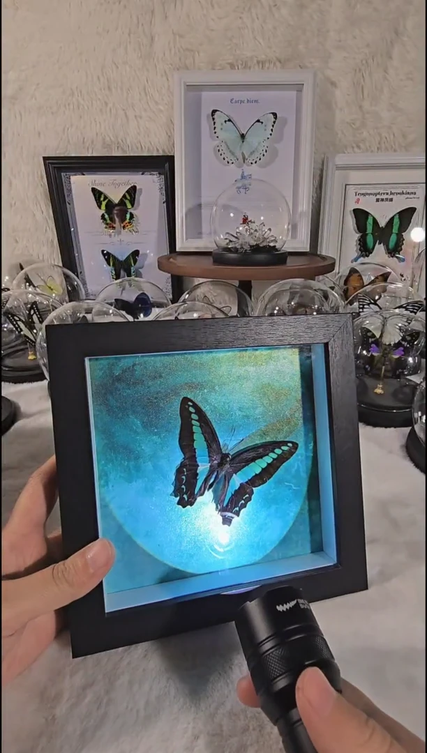 青凤相框an新款设计