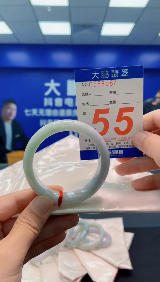 未镶嵌手镯翡翠AAAAAAAAA