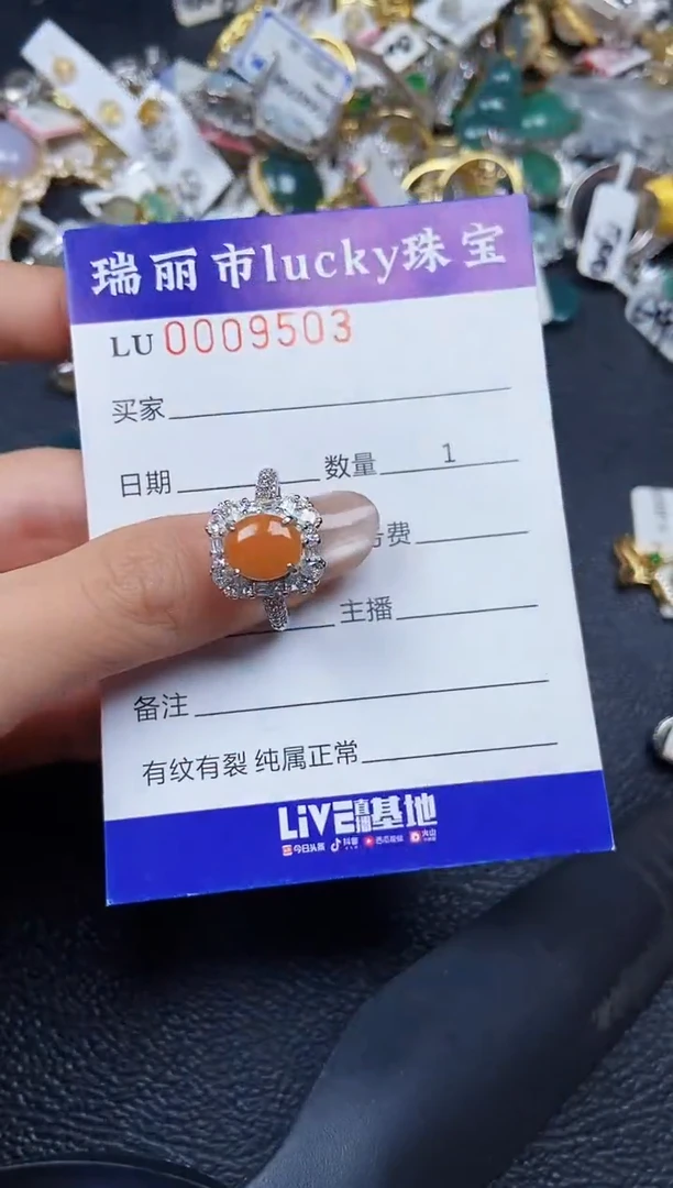 翡翠银S925镶嵌颈饰9503