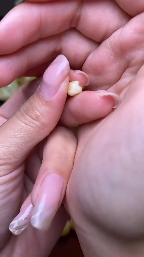 未镶嵌琥珀裸石葵. 1