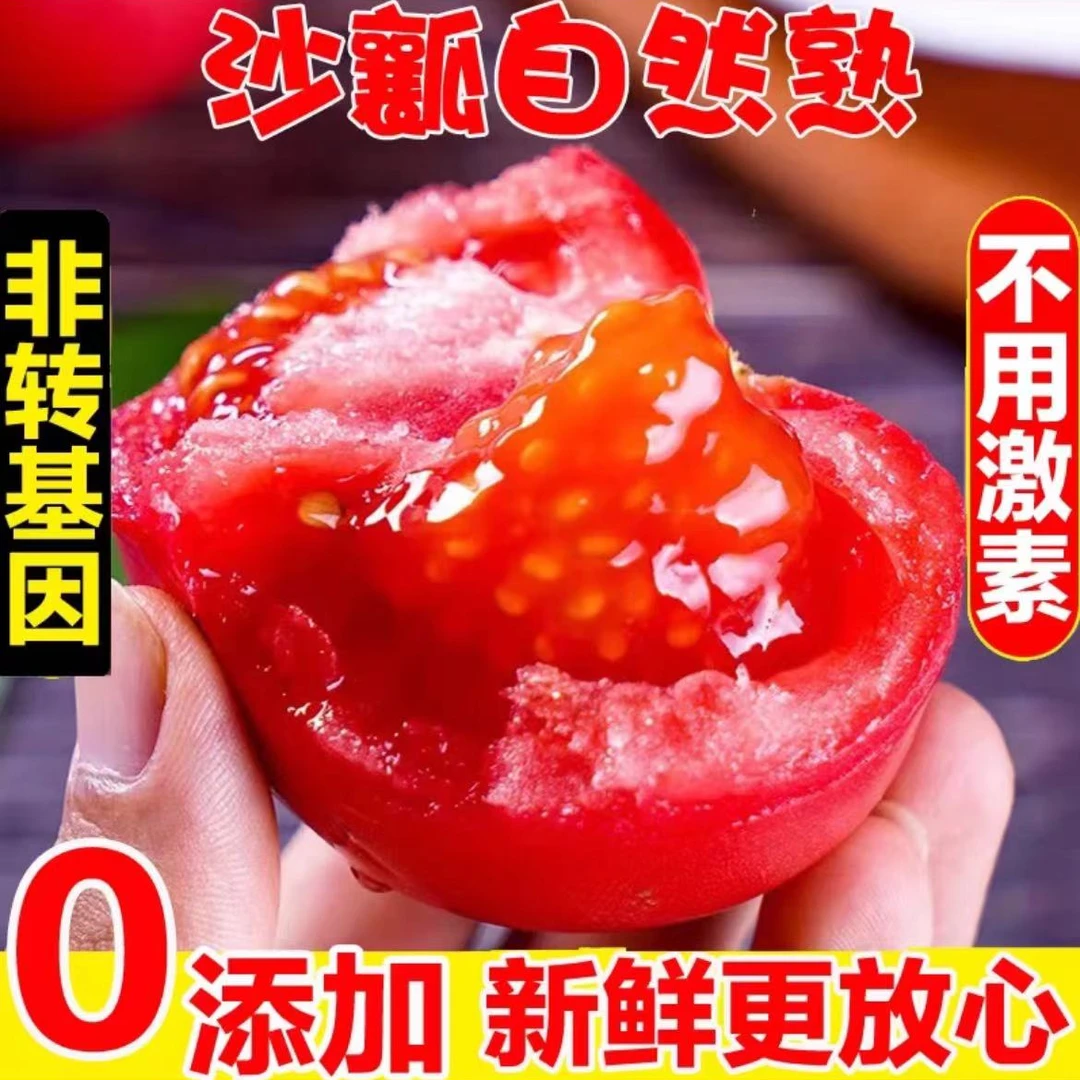 【陕西】普罗旺斯沙瓤西红柿4.5斤产地直发自然熟