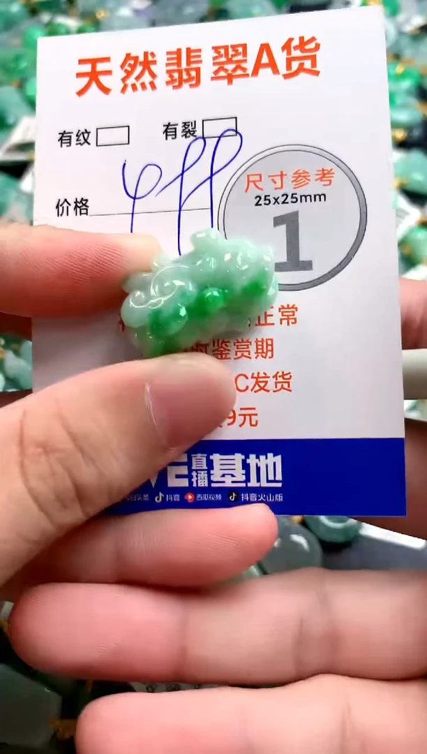 颈饰未镶嵌翡翠0583629213