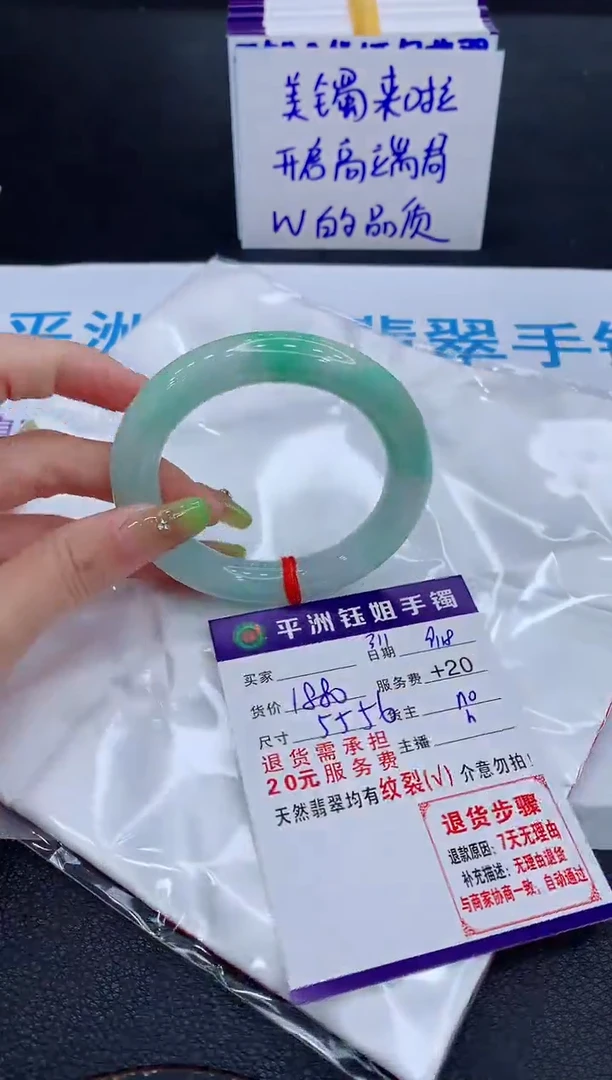 未镶嵌手镯翡翠1