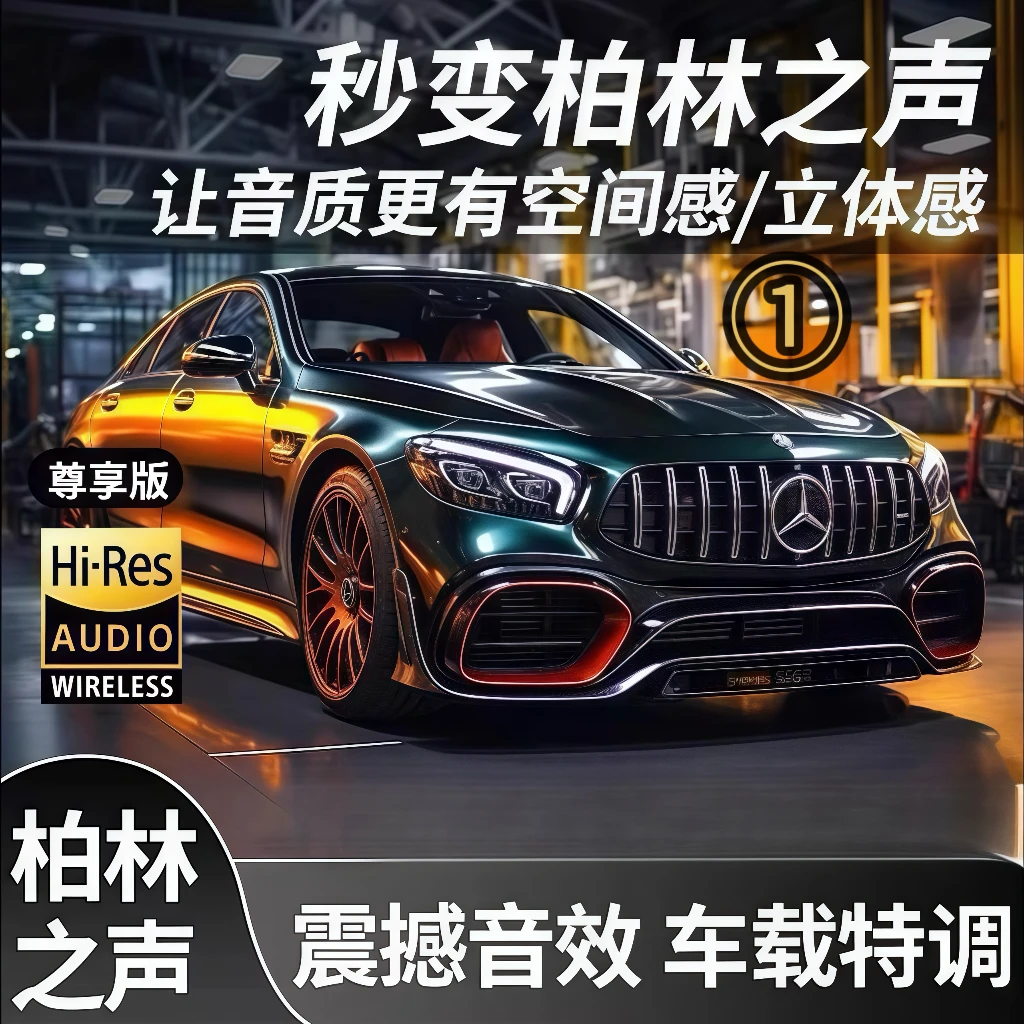 【2025款 全新升级】柏林之声 黑胶芯片 高端无损音质豪华版