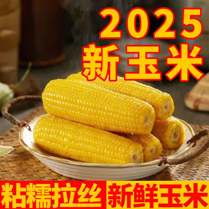 【2025新玉米】东北粘糯黄玉根粘糯香260g-300g八根轻食美食丰收